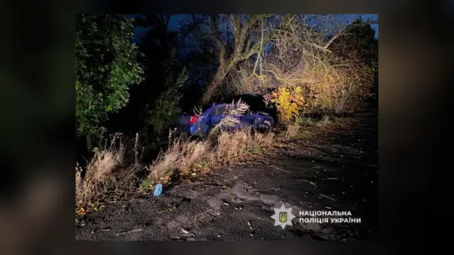 У Великобуялицькій громаді нетверезий водій збив двох підлітків і врізався в дерево