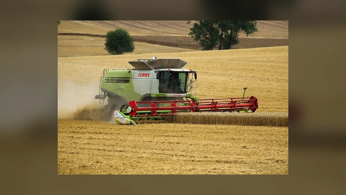 В Одеській області виробництво сільгосппродукції за 8 місяців зросло майже на чверть
