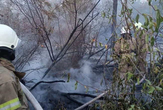 У нацпарку Тузлівські лимани пожежа пошкодила близько 0,7 га лісу
