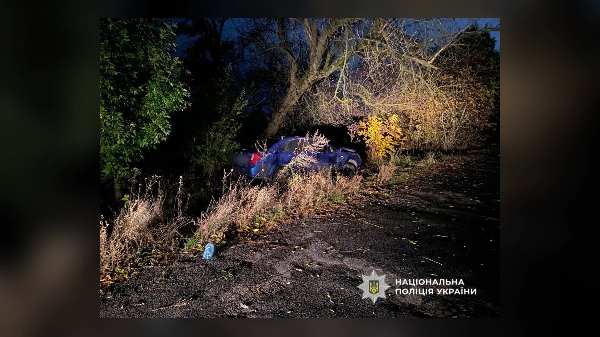 У Березівському районі нетверезий водій збив двох підлітків і врізався в дерево