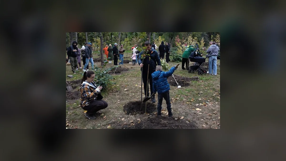 У дендропарку Перемоги в Одесі висадили 50 кленів на новій сімейній галявині